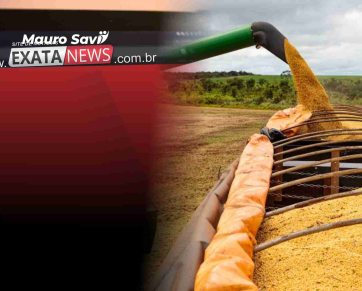 Mato Grosso fecha 2025 como 4º maior exportador do Brasil