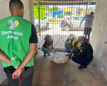 Ação rápida reforça proteção animal em Cuiabá