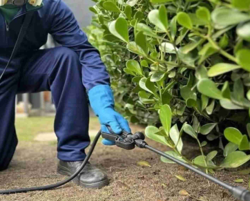 Truly Nolen Cuiabá alia experiência internacional e conhecimento local no controle de pragas